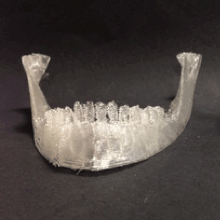 Mandible Jaws